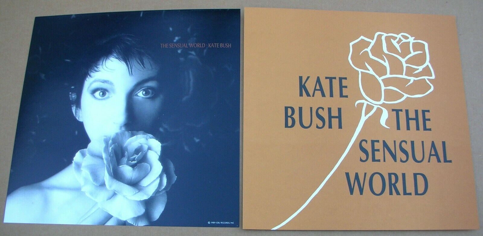 Kate Bush The Sensual World 2 Sided Promo 12x12 Poster Flat 1989 Mint-