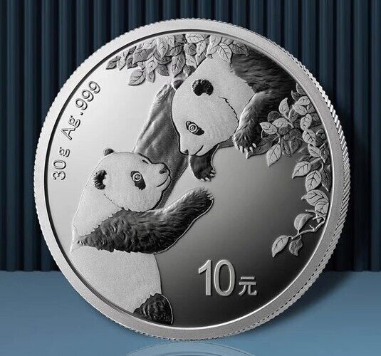 2023 China Panda 30g Silver Coin